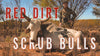 RED DIRT SCRUB BULLS